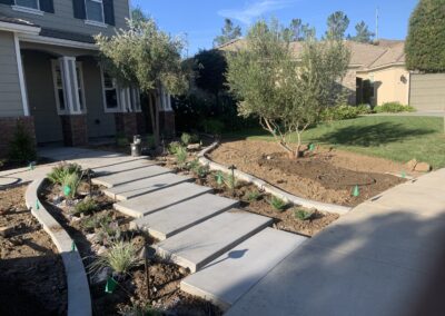 Concrete Pavers and Curbs Hardscape Project