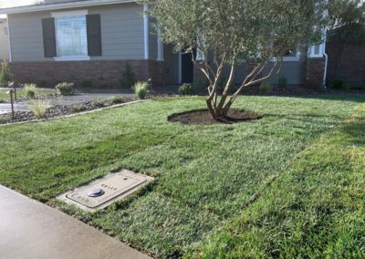 Front Yard Softscape Landscaping
