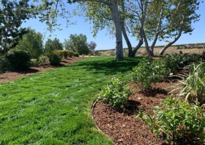 Front Yard Softscape Project