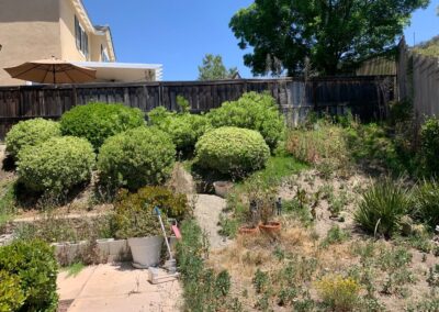 Landscape Cleanup Services