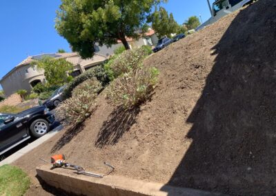 Landscape Debris Removal