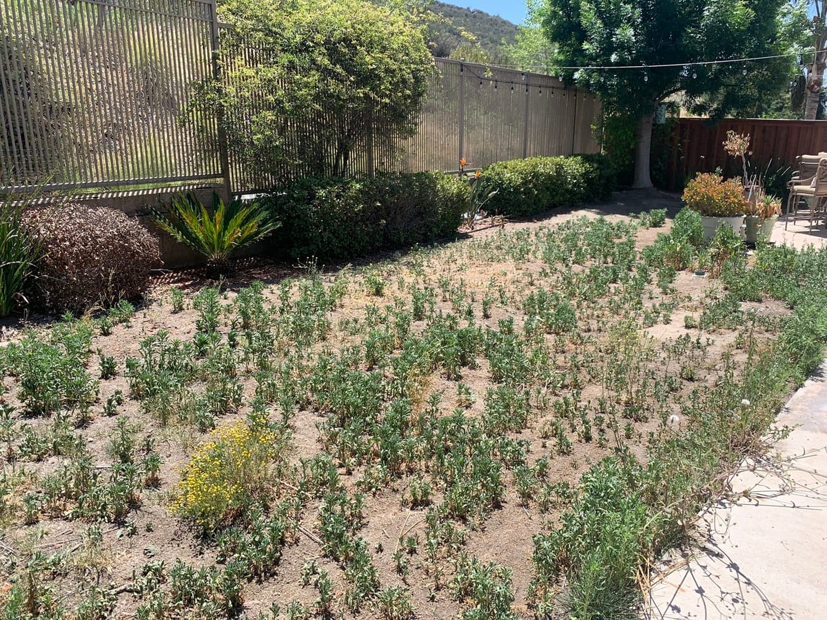 Landscape Demo Cleanup Video Landscape Demo Cleanup Video