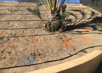 Landscape Irrigation Services