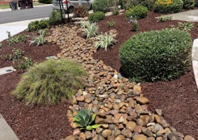 Landscape Planting Services