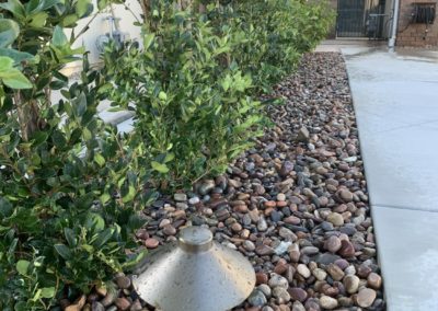 Low Voltage Outdoor Lighting