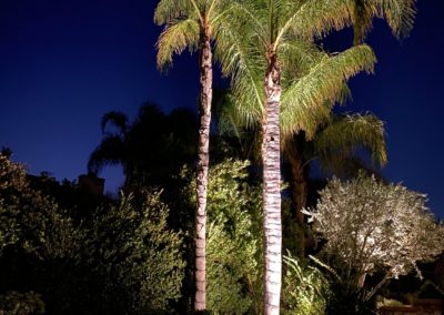 Outdoor Landscape Lighting