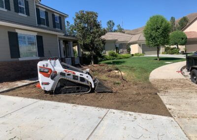 Outdoor Yard Cleanup