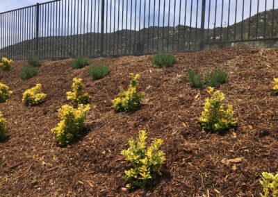 Softscape Garden Bed Installation