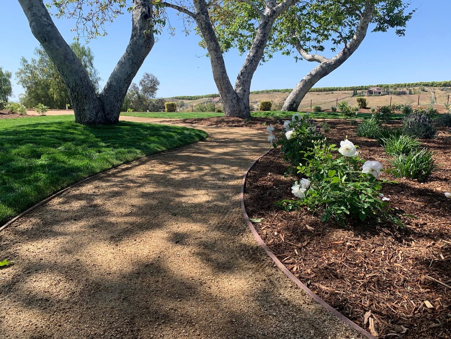 Softscape Hardscape Landscaping Services Softscape Hardscape Landscaping Services