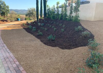 Softscape Landscape Contractor