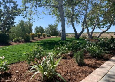 Softscape Landscape Installation