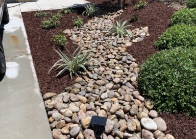 Softscape Landscape Lighting