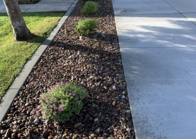 Softscape Landscape Project