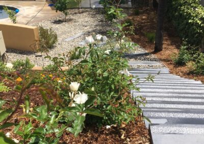 Softscape Plant Installation