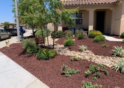 Softscape Planting Installation