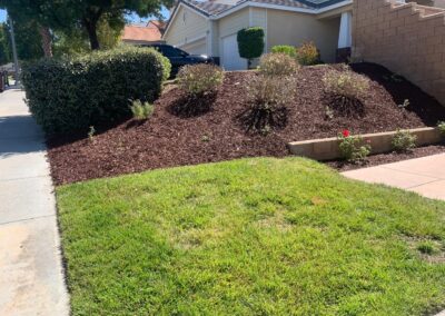 Softscape Planting Services