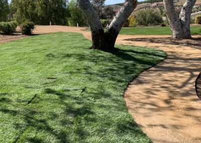 Softscape Shrub Planting