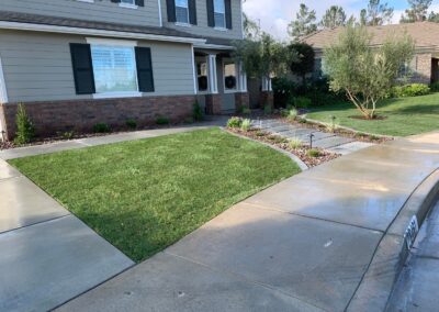 Softscape Yard Installation