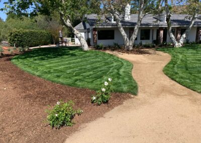 Softscape Yard Renovation