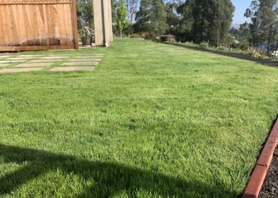 Wood Fence Landscape Service