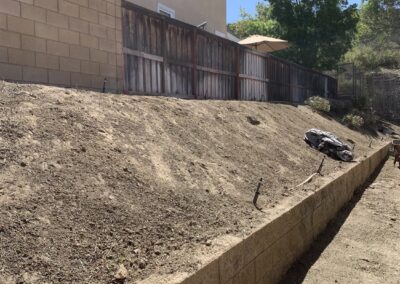 Yard Cleanup and Hauling