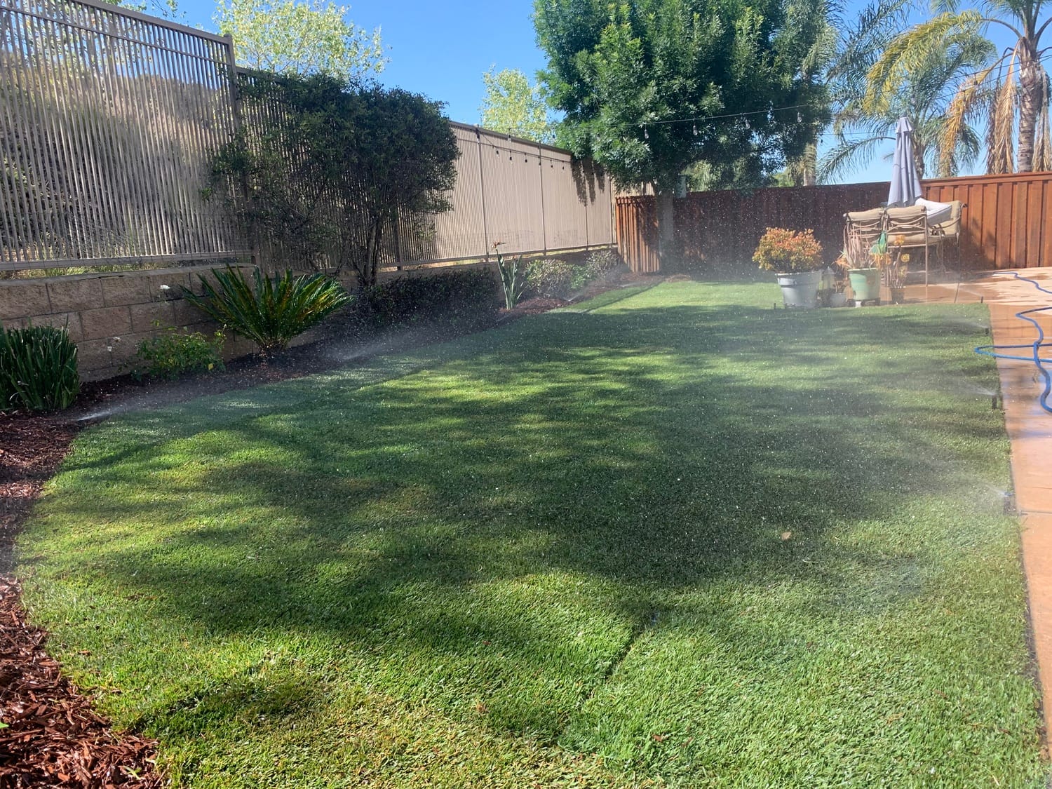 Yard Cleanup Before and After Yard Cleanup Before and After