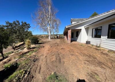 Yard Cleanup Services