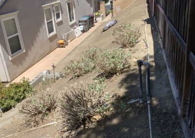 Yard Waste Cleanup Services